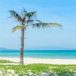 [휴양100%][해적선투어/머드온천/간식3종] 나트랑 패키지 6일(준특급호텔)