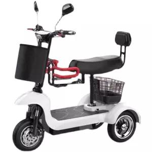 세발 전기자전거 오토바이 삼발이 충전 노인 전동차