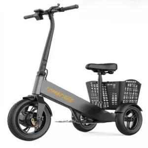 세발 전기자전거 충전 스쿠터 오토바이 어른 장보기