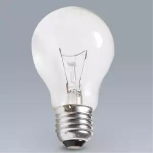 초등과학 실험용 전기스탠드용 백열전구 60W 100W 5개 모듬수업 중학교 스토리텔링