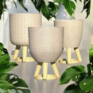 피클레온 미니 삼발이 플라스틱 화분이화분 식물 인테리어 소품 이화분