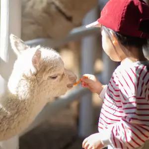 [동물간식체험] 대구 이월드 자유권+간식3종+무료핫팩