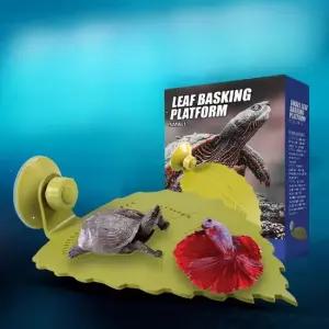 베타꽃침대 베타 거북이 나뭇잎쉼터