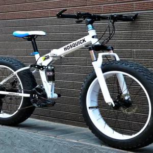 펫바이크 접이식자전거 폴딩 바퀴큰자전거 배달용 미니벨로 바이크