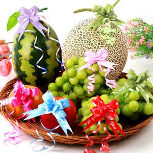 매직리본(중형 50개)/자동 원터치리본/메론포장