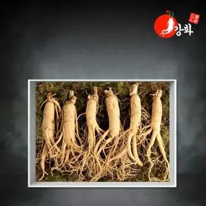 갤러리아 [강화초지인삼][종이박스선물포장] 5년근 난발삼 1채 750g (10-15뿌리