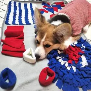 노즈 워크 패드 WE3CF12