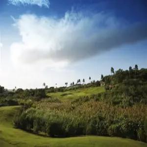 [골프텔/무제한/108홀/저녁출발] 괌 레오팔레스 골프 3박5일 프리미어룸/조식/레이트체크아웃