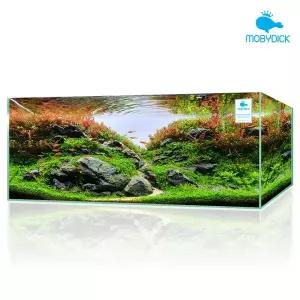 [모비딕][클린] 어항 S600 600x200x250 5T [무료배송]