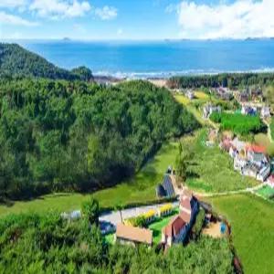 [충남] 퍼피하우스 애견펜션(충남, 태안)