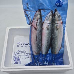 국내산 생물 급냉 통고등어 3미 (2kg내외) x 1팩