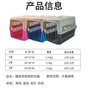 대형견켄넬 고양이켄넬 항공 박스 개고양이장은 애완동물로 수송개고양이를 공수해