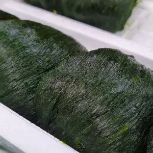 국내산 완도 냉동 매생이 1kg