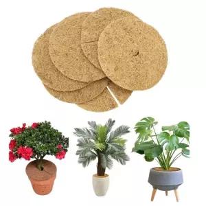 화분 흙 커버 코코넛 덮개 식물 가드닝 흙날림 소 10p (WFK9F1O)