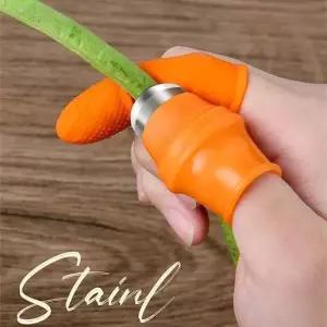 손가락골무 작물 농사 수확 마늘 생강