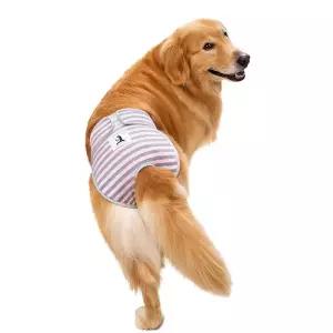 대형견 리트리버 위생 패드 월경 애완견 생리 강아지 팬티