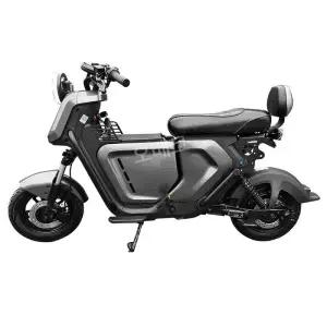 전기자전거 전동바이크 출퇴근 48V20A 고속 배달 스쿠터 레이싱