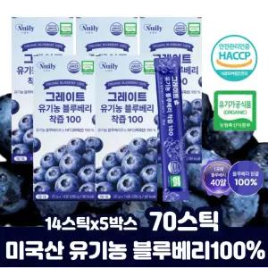 블루베리 퓨레 NFC 착즙 주스 원액 중장년 어르신 여자 유기농 불루배리즙 실버 노년 물에 타 마시는 건강