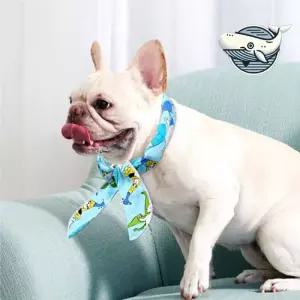 여름 강아지 쿨 스카프 조끼 아이스팩 시원한 강아지쿨스카프 강아지스카프 애견쿨스카프