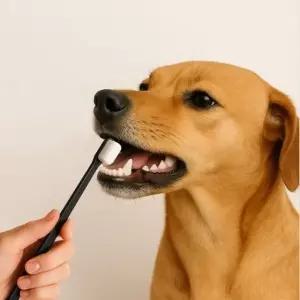 ( )칫솔 강아지칫솔 펫프랜 반려동물 초미세 만모 블랙