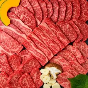 한국농수축산 소고기 600g 모둠 갈비살 200g + 등심 부채살