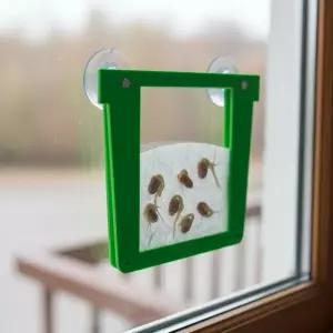 씨앗 발아 주머니 만들기 식물키우기 성장과정 관찰 식물재배 화분 1인용 (큰씨앗 3종세트)