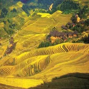 [계림직항] [4명부터출발] 계림/양삭 4박6일 [용척제전/요산케이블카/이강유람선/인상유삼저/전신마사지]