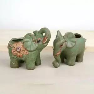 2P세트 다육이화분 홈가드닝 코끼리 귀여운 다육식물키우기