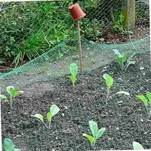 과수원 농작물 보호 그물망 방조망 덮개 4x10m