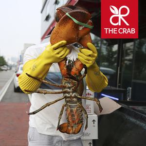 캐나다 활 라지 점보랍스타 3kg-8kg 랍스터 바닷가재