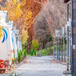 [대전 펜션] 대전 꿈꾸는농부캠핑장 (동구(용전,복합터미널))