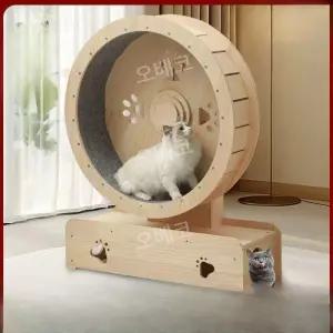 고양이쳇바퀴 캣휠 반려묘운동기구 무소음 런닝머신 집사템