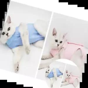 올인원애견의류 켈리몰 강아지 고양이 스판 중성화수술복 중성화옷