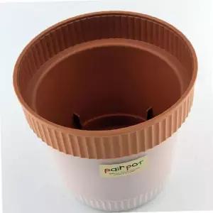 소형원형화분 선인장 다육이 2중구조 투명용기 식물화분 디테일한