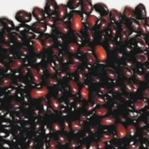 재래종 울타리콩 채소 씨앗 품종 종자 콩 30g