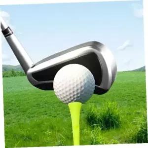 [하프클럽/]골프핀 이지샷골프티6개입(옐로우)롱티숏티티꽂이