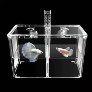 현이몰 베타합사 치어격리통 베타번식 베타부화기 걸이식부화통 구피산란통 격리통 물고기부화통