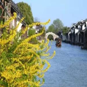 [비지니스석]상해항주수향마을4일4대옵션4인단독