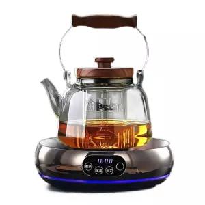 티포트 스토브 주전자 미니 조절 인덕션 온도 전기 유리 내열 고온