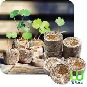 웰가드닝 피트펠렛 40mm(낱개)-지피펠릿,압축배양토,압축상토,코코피트,삽목용토,발아용토