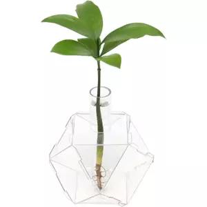 5인 생태전환 수경식물 키우기 관찰일지 투명화분만들기 미술시간 어린이집 노인대학