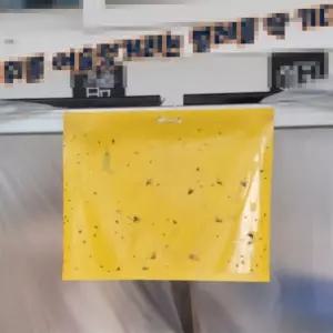 5매 20x25 타공 걸이형 벌레 끈끈이 날파리 벌레 트랩 파리끈끈이 끈끈이트랩