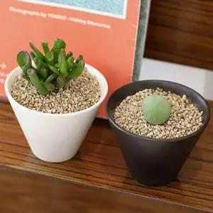 선물용 플랜테리어 화분 도자기 반려 식물 세트 미니 집들이
