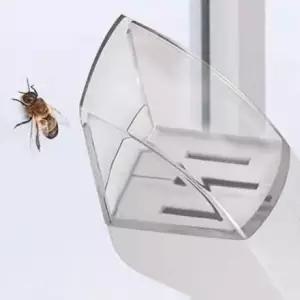 벌레 채집 도구 곤충 채집망 포획기 벌레잡이 야외활동 휴대용 안전한 투명 간편한 손잡이형