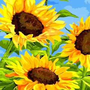 하모니아트 DIY 유화그리기 그림그리기 세트 페인팅 40x50 해바라기와 파란하늘 꾸미기 그리기 DIY키트 취