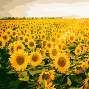 하모니아트 DIY 유화그리기 그림그리기 세트 페인팅 40x50 노을과 해바라기 꾸미기 그리기 DIY키트 취미생