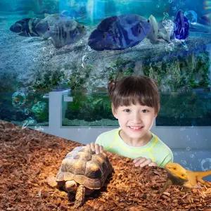 [대구] 아쿠아밸리 블루라운지 카페/아쿠아리움/수족관/동물원/대구신상카페/체험/데이트/아이와가볼만한곳