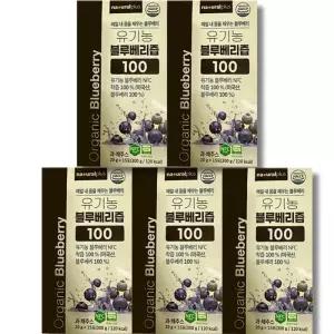 내츄럴플러스 유기농 블루베리즙 100 20g x 15포 5박스