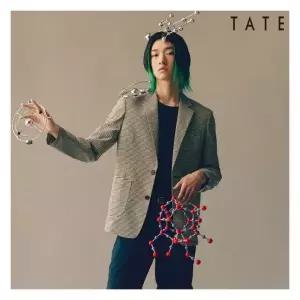 테이트 남성 깅업체크투버튼자켓 KABU4-MJK0601146990