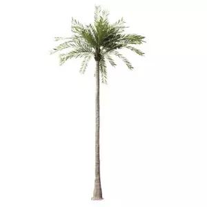대형 야자나무 5m 휴양지 인조나무 야자 실내 카페 모형 인공